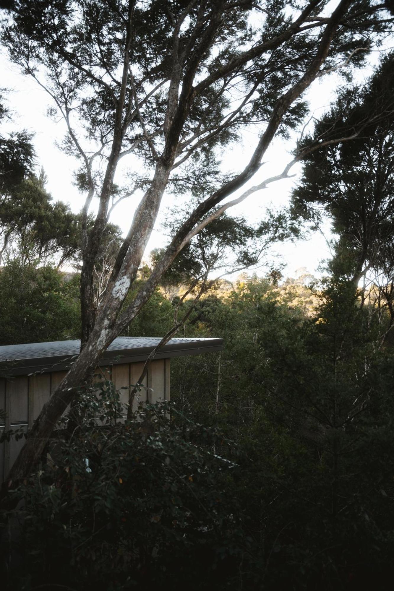 Opua Treehouse Hideaway At Rekindle Tree Houses מראה חיצוני תמונה