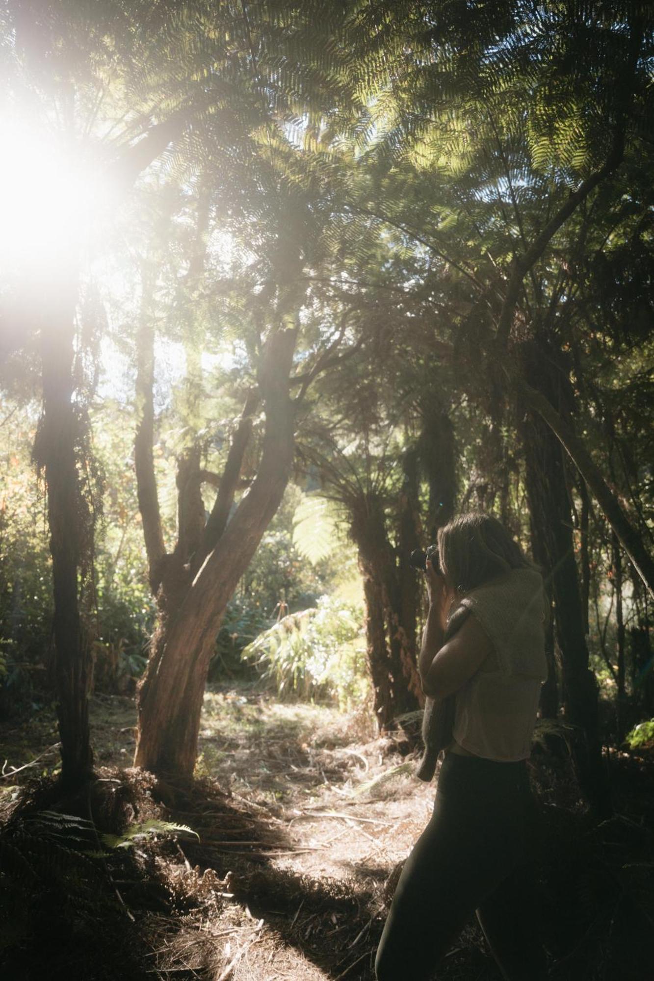 Opua Treehouse Hideaway At Rekindle Tree Houses מראה חיצוני תמונה